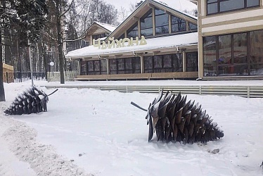 Pekhorka Park, Balashikha (Moscow region) (2018 year)