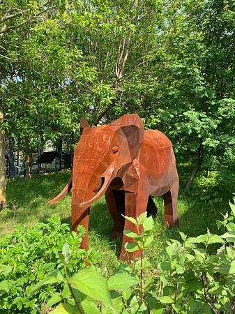 Sculpture «Elephant»