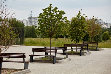 Mitino Park, Moscow (2019 year)