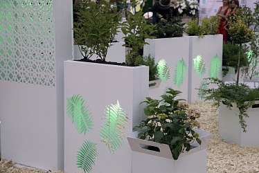 Moscow Flower (2013 year)