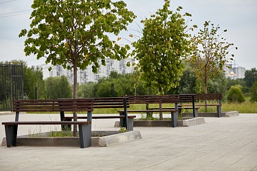 Mitino Park, Moscow (2019 year)