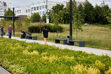 Mitino Park, Moscow (2019 year)